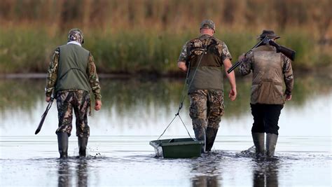 duck hunting seasons quiet opening  weekly times