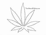 Leaf Pot Coloring Pages Tree Palm Printable Getdrawings Getcolorings Colouring Drawing sketch template