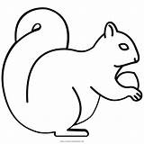 Esquilo Colorir Squirrel Scoiattolo Chipmunk Imprimir Mammal Possum Clipartmag Iconfinder Coloringcity sketch template