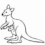 Kangaroo Coloring Pages Animals Color sketch template