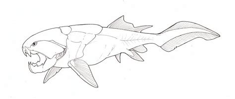 prehistoric shark coloring page coloring pages