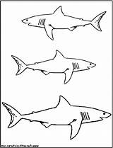 Shark Fin Drawing Template Printable Getdrawings sketch template