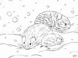 Lemming Mammals Collared sketch template