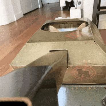 hilarious cats  cardboard tanks barnorama
