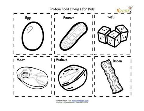 printable protein coloring pages stevenilcampbell