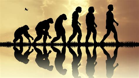 le recit evolutif des hominides etait faux