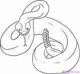 Snake Coloring Rattlesnake Diamondback Pages Draw Drawing Coral Rattle Western Rattlesnakes Clipart Sheet Drawings Printable Color Snakes Kids Colouring Cliparts sketch template