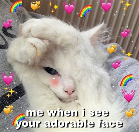 P I N Myheartisacastle Cute Love Memes Cute Cat Memes