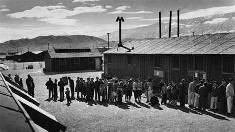 what pop culture can teach us about japanese internment