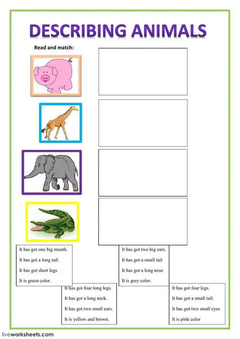 interactive  downloadable worksheet