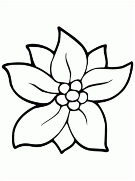 christmas flower coloring page coloring pages arts  crafts