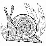 Snail Escargot Coloriage Livre Adulte Mignon Pomme sketch template
