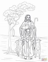 Jezus Kolorowanki Pastor Hirte Hirten Supercoloring Gratis Herder Kleurplaat Buen Kleurplaten Drucken Ausmalbild Kolorowanka Jest Malvorlagen Designlooter sketch template