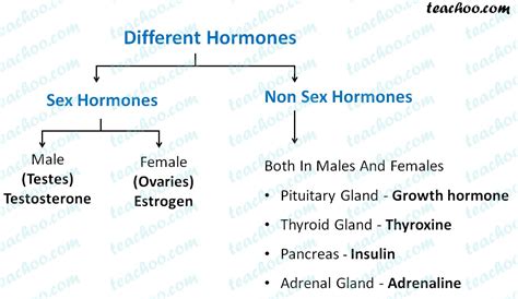 sex   sex hormones teachoo
