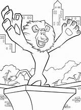 Alex Lion Coloring Madagascar Drawings Pages Printable Cartoon Marty Color sketch template