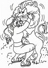 Samson Coloring Lion Delilah Tulamama Ot Struggle Clker Colorluna sketch template