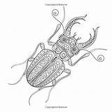 Coloring Spiders Ups sketch template
