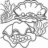 Shell Conch Coloring Getdrawings Pages Printable sketch template