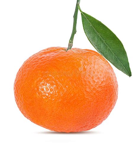 Tangerine Or Mandarin Fruit Isolated On White Stock Image Image Of