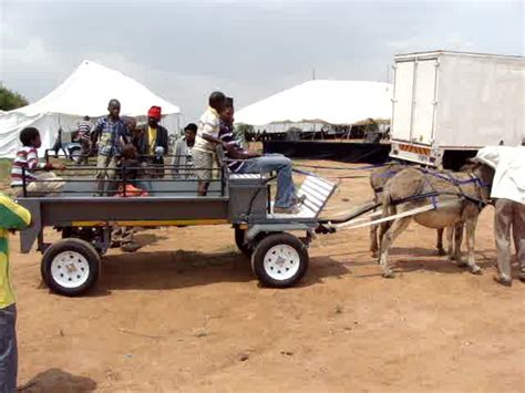 donkey cart builders transport cart  donkey cart movi flickr