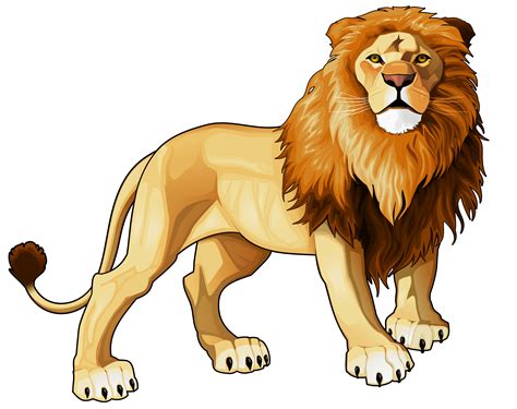 lion vector png   lion vector png png images