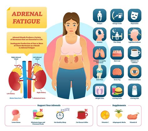 Adrenal Fatigue Symptoms And Treatment – Page 3 – Rocketfacts