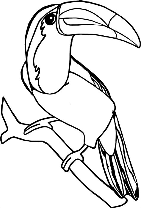toucan coloring pages coloringbay