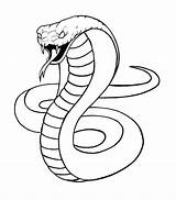 Cobra Drawing Kobra Schlange Outline Zeichnen Serpent Serpiente Serpente Schlangen Coloringpagesfortoddlers Dibujar Serpientes Cobras Tiere Serpenti Ausmalen Animals Königskobra Kunst sketch template