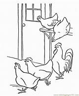 Hen Chicks Hens sketch template