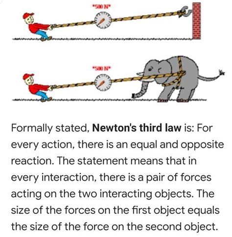 newtons  law examples