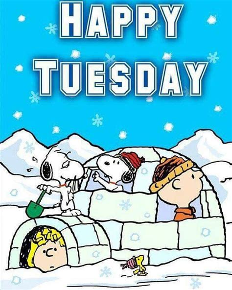 tuesday winter tuesday quotes good morning happy tuesday quotes good