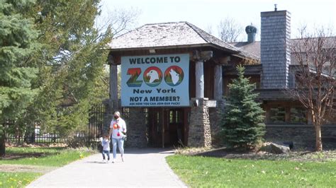 zoo  york celebrates  years