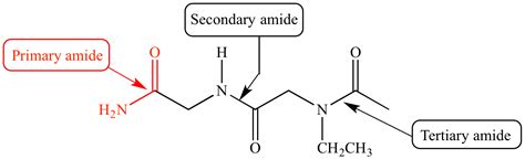 illustrated glossary  organic chemistry primary amide  amide