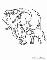 Elefante Cria Colorir Su Elefant Dibujo Animaux Hellokids Desenhos Elephants Animales Salvajes Drucken Farben Tigre sketch template