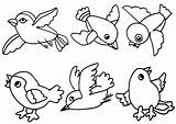 Bird Coloring Preschool Pages Printable Birds Printablee Via sketch template