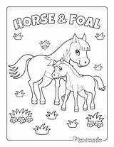 Coloring Horse Pages Baby Foal Cute Kids Mother Cartoon Easy Printable Adults Printables sketch template