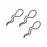 Sperm Sperma sketch template