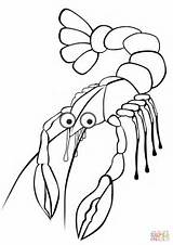 Krebs Langosta Kreeft Colorat Malvorlage Kleurplaat Aragosta Homar Desene Lobster Crawfish Homard Ausmalbilder Coloriage Insecte Coloriages Crayfish Planse Animale Educima sketch template