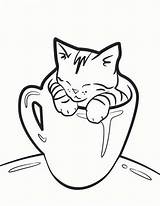 Cat Coloring Kitty Cute Sleeping Cup Very Color sketch template