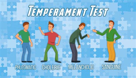 temperament test  accurate match     temperaments