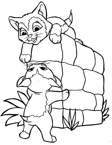 printable cat coloring pages  kids  printable cat