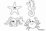 Creature Templates Sheets Coloringpage Subacvatica Pintar Lumea Colorat Printables Fise Planse Underwater sketch template