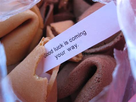 fortune cookie good luck stock photo image  wishing
