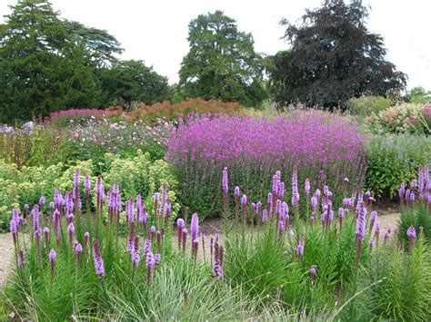 beautiful piet oudolf garden design ideas  summer garden design small garden design