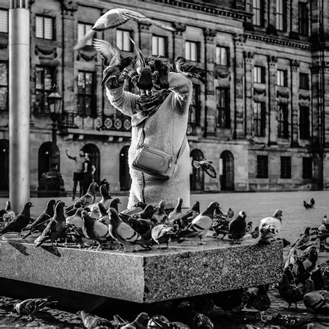 hongerige duivenebbesfotografiede damamsterdamcorona   ebbes fotografie