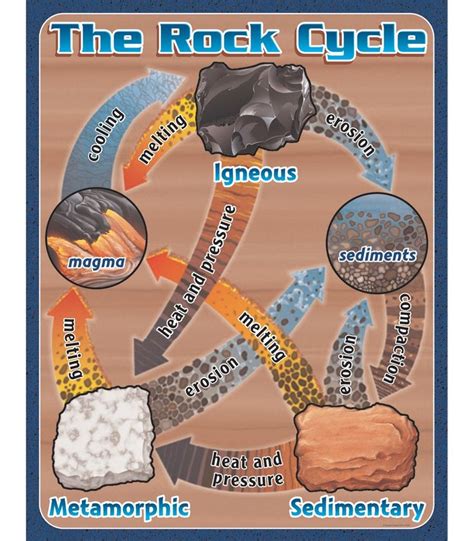 rock cycle diagram  rock cycle earth science lessons rock