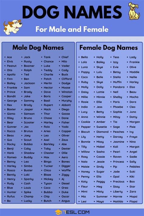 dog names   popular male  female dog names esl