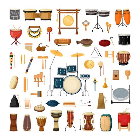 premium vector collection  percussion  noise musical instruments