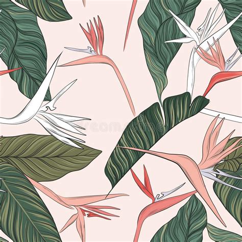 shirt hawaiian flowers vector illustration stock vector illustration of pattern oahu 84312030