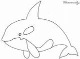 Orca Orque Coloriage Whale Coloring Imprimer Animals Colorear Para Pages Print Dibujos Orcas Imagenes Animales Dessin La Whales Colorier Fotos sketch template